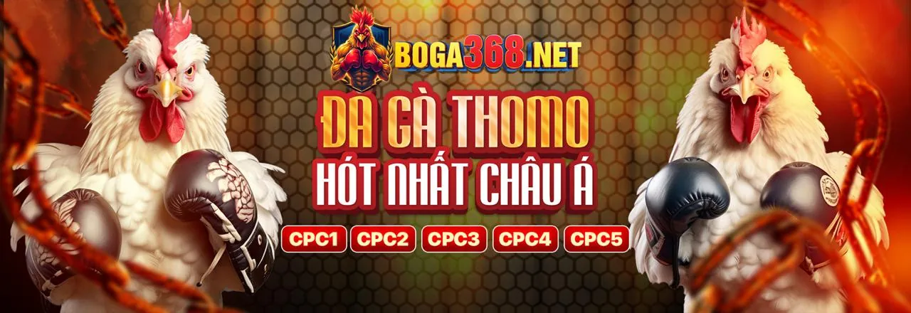 Đá gà kịch tính tại Wipwin Link Vào