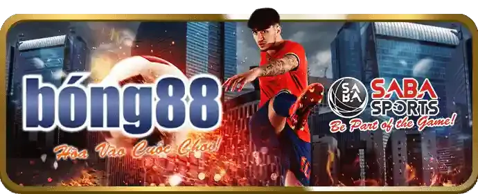 Đá gà Thomo kịch tính